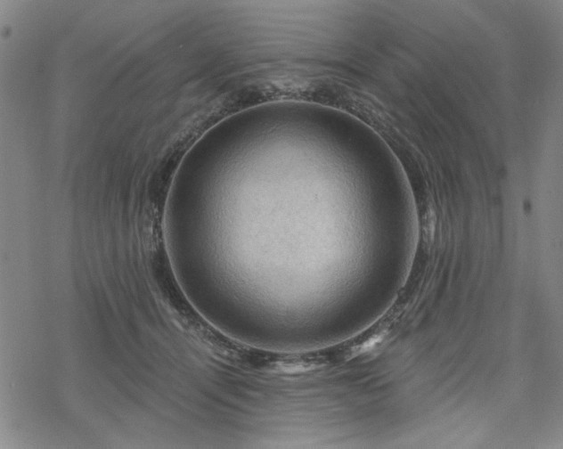 X0000068820464200605051215