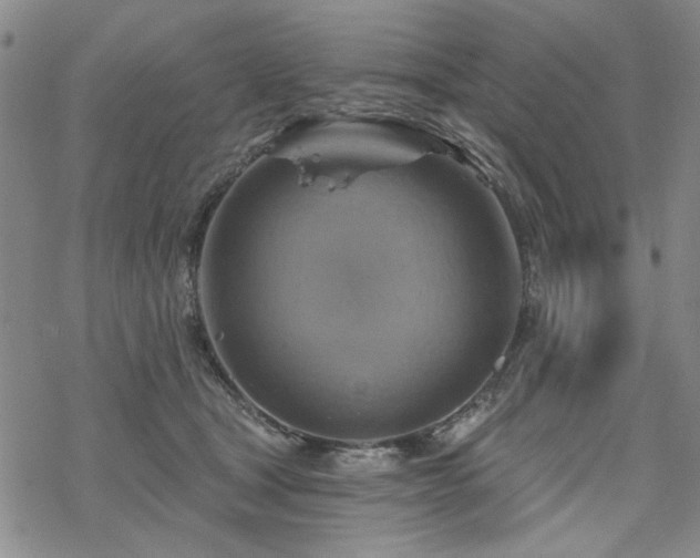 X0000068820465200605051215