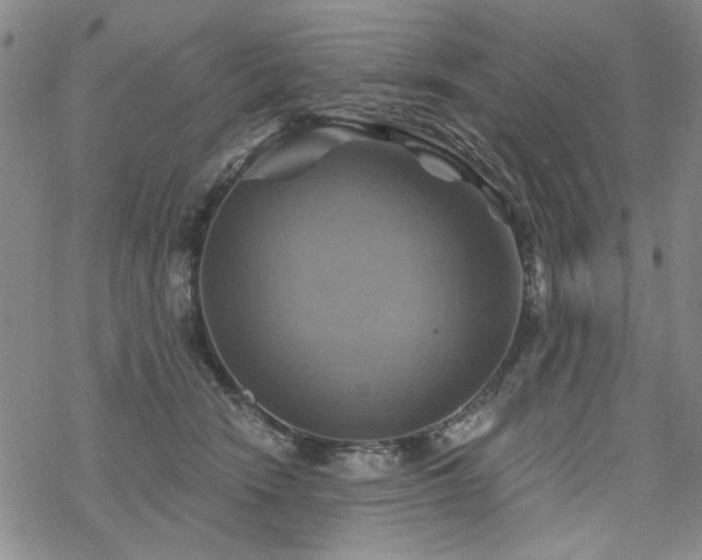 X0000068820466200605051215