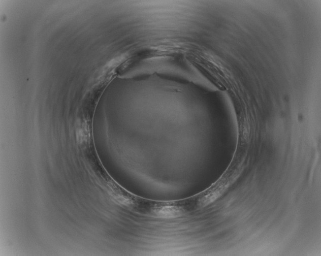 X0000068820467200605051215