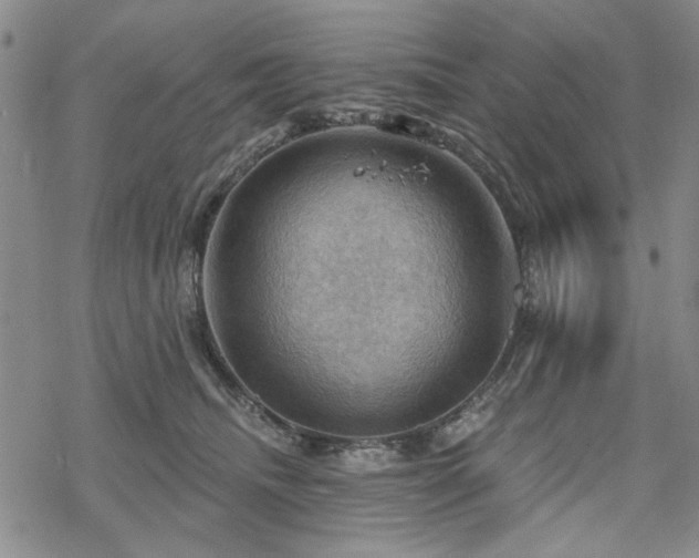 X0000068820468200605051215