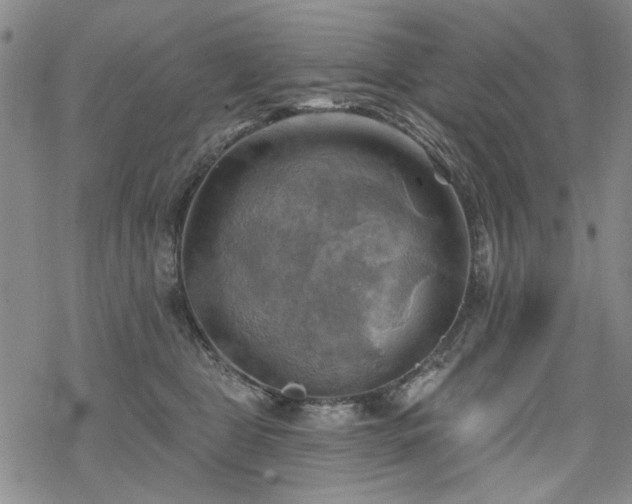 X0000068820469200605051215