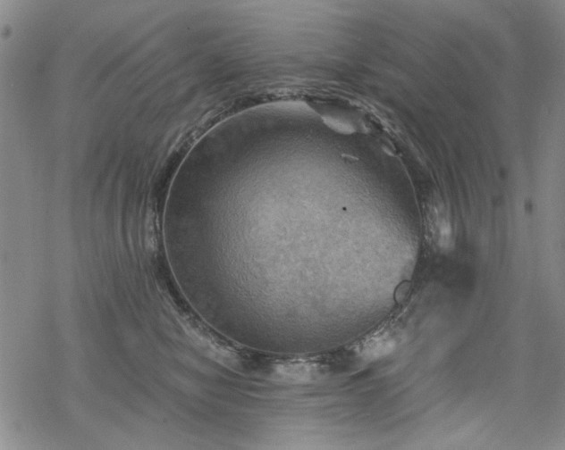 X0000068820470200605051215