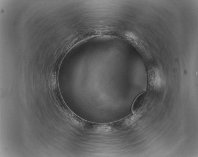 X0000068820471200605051215