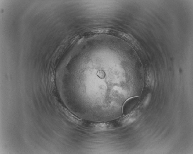 X0000068820473200605051215