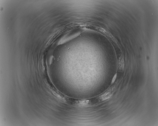 X0000068820474200605051215