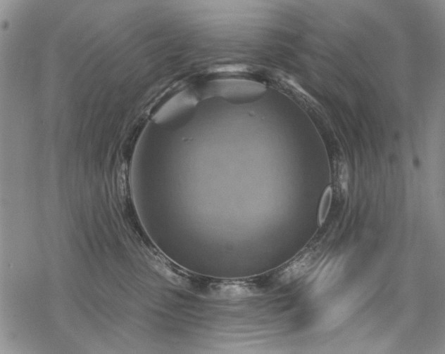 X0000068820475200605051215