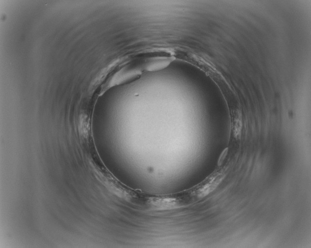 X0000068820476200605051215