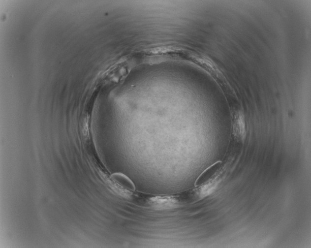 X0000068820477200605051215