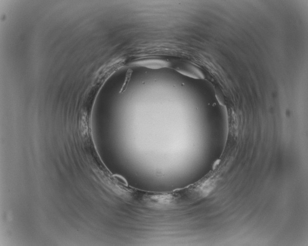 X0000068820478200605051215