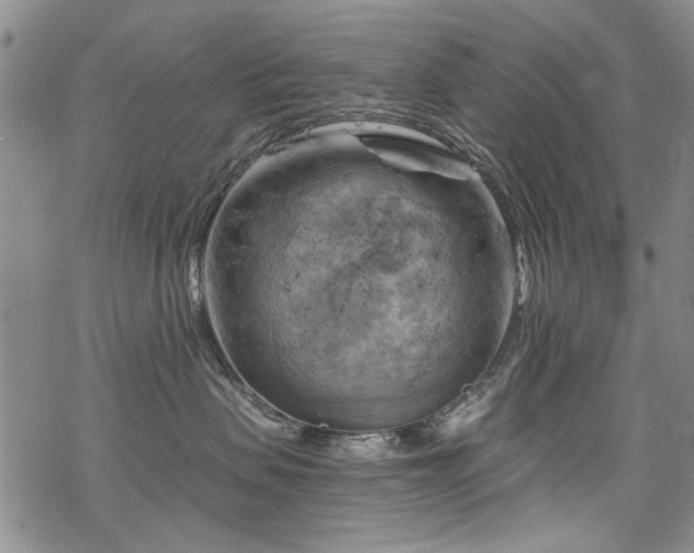 X0000068820479200605051215