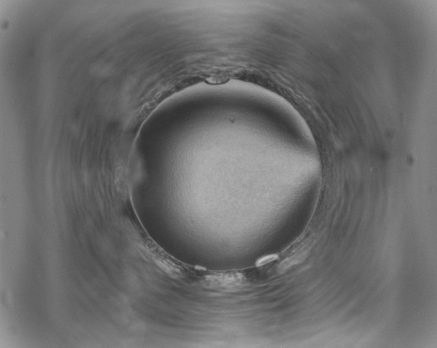 X0000068820480200605051215