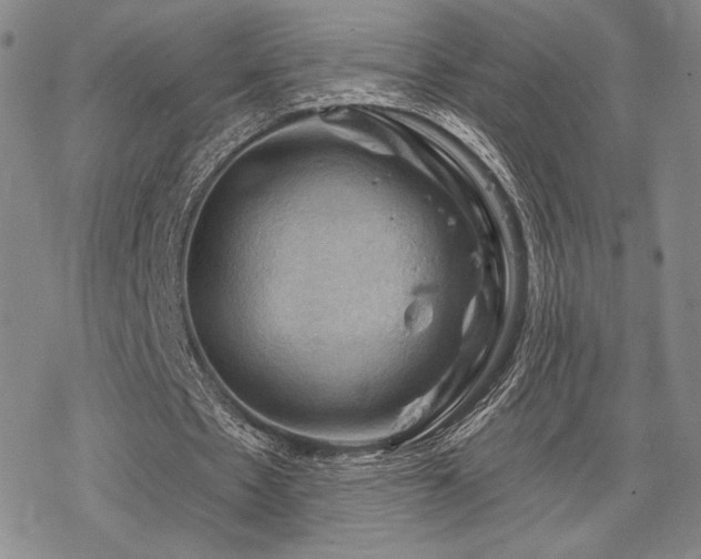 X0000068820481200605051214