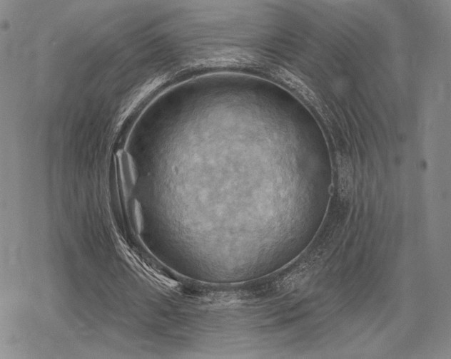 X0000068820482200605051214