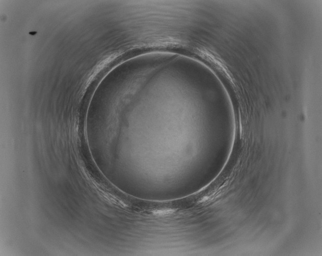 X0000068820483200605051214