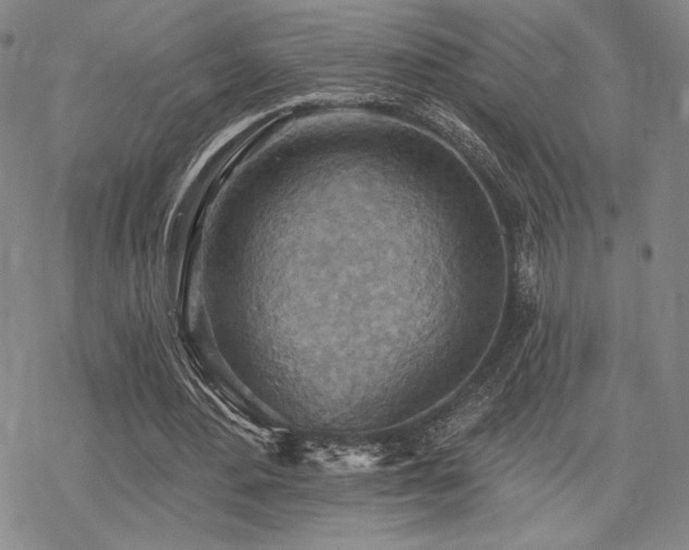 X0000068820484200605051214