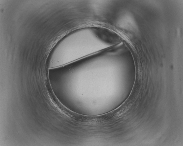 X0000068820485200605051214