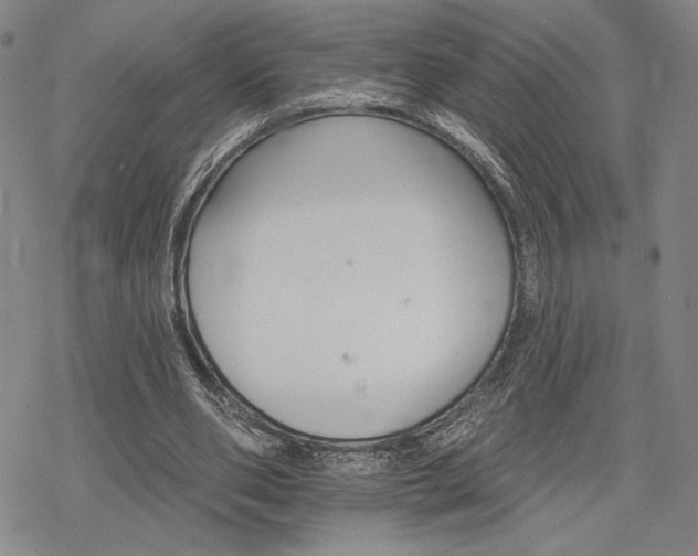 X0000068820486200605051214