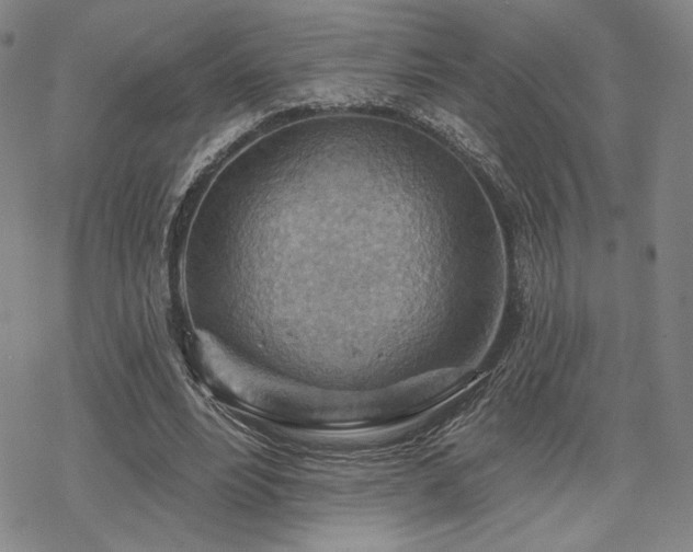 X0000068820488200605051214