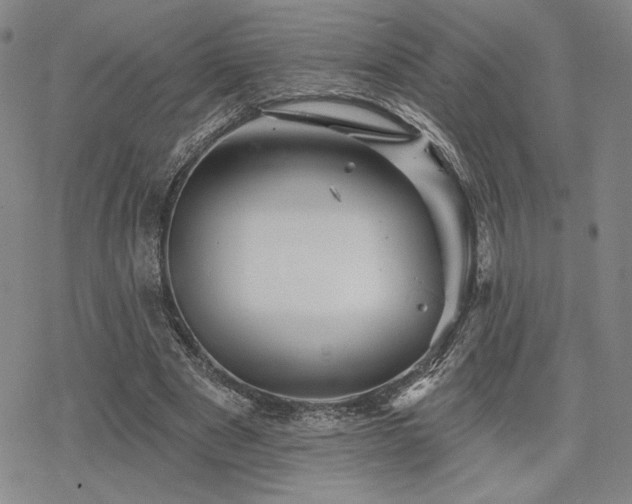 X0000068820489200605051214