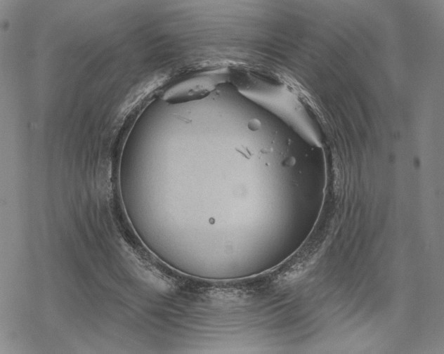 X0000068820490200605051214