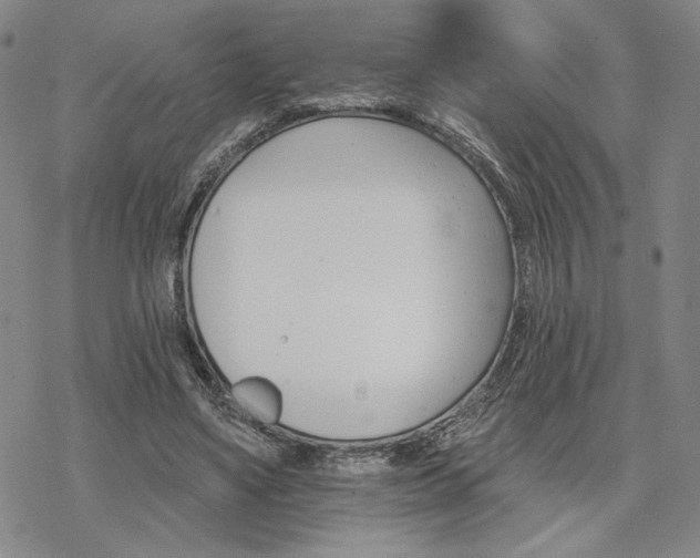 X0000068820491200605051214