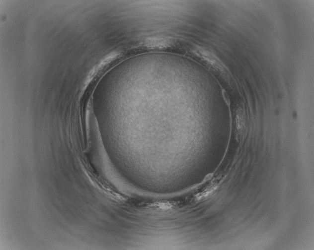 X0000068820492200605051214