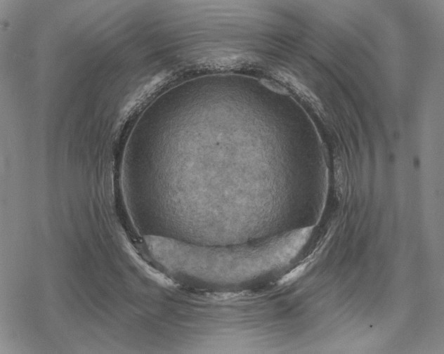 X0000068820493200605051214