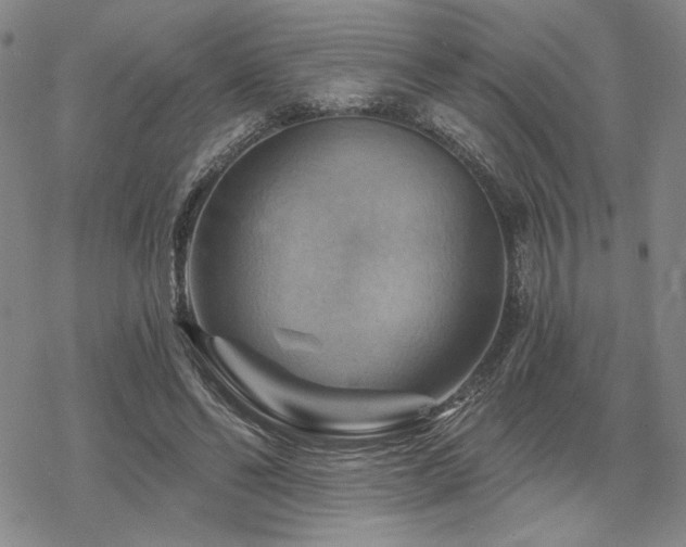 X0000068820494200605051214