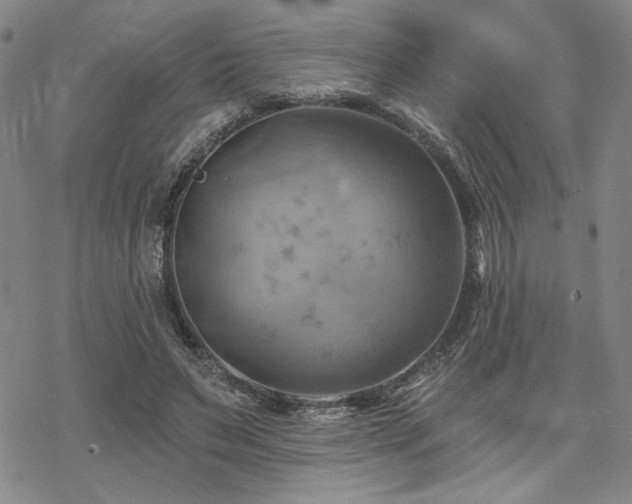 X0000068820495200605051214