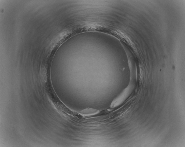 X0000068820496200605051214