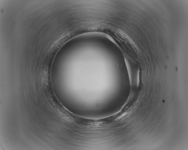 X0000068820497200605051214