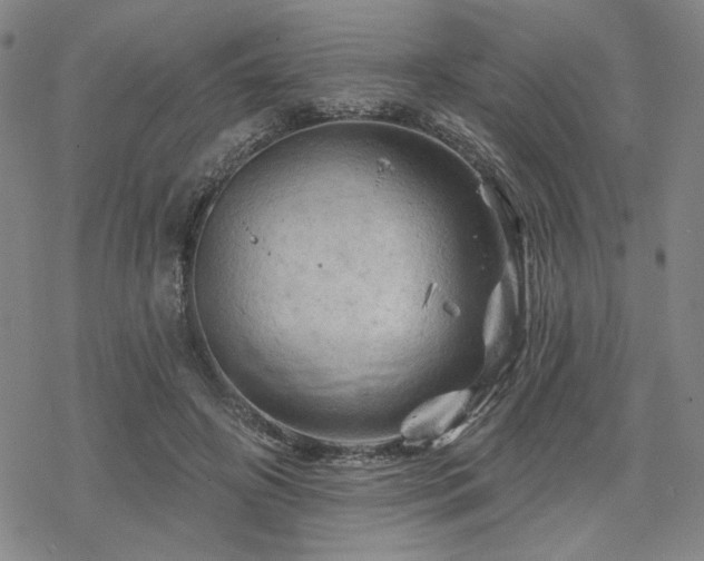 X0000068820498200605051214