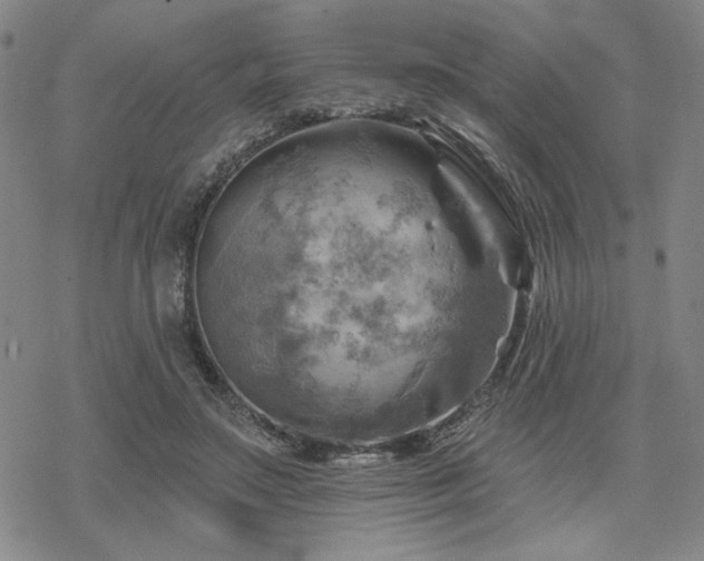 X0000068820499200605051214