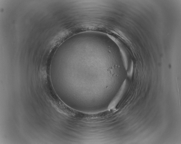 X0000068820500200605051214