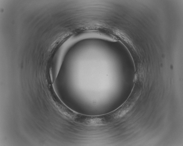 X0000068820501200605051214