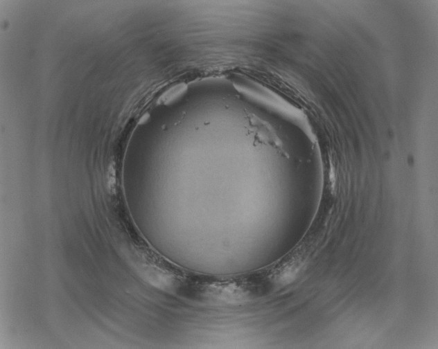 X0000068820502200605051214