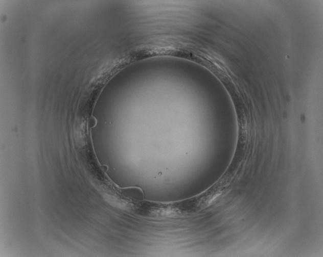 X0000068820503200605051214