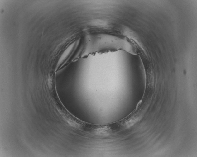 X0000068820505200605051214