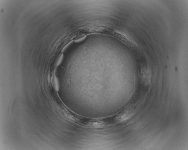 X0000068820506200605051214