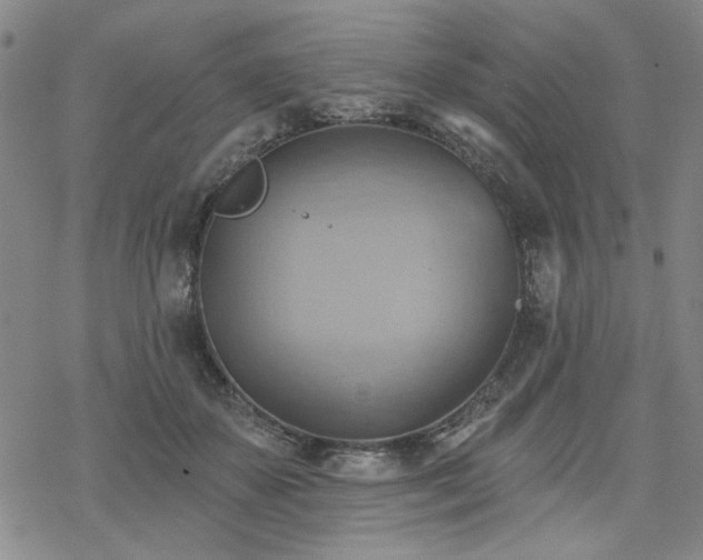 X0000068820507200605051214