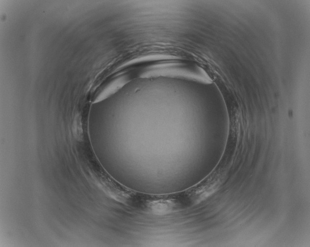 X0000068820508200605051214