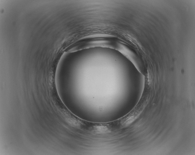 X0000068820509200605051214