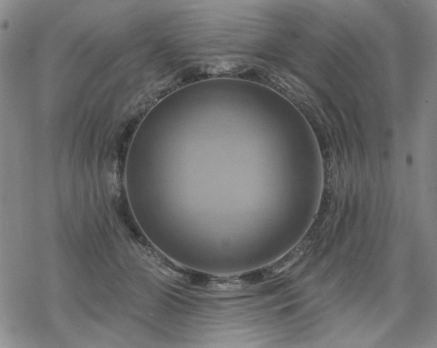 X0000068820510200605051214