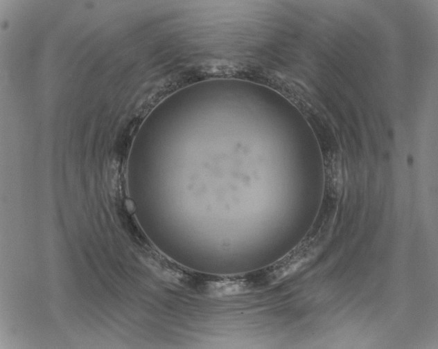 X0000068820511200605051214