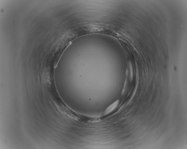 X0000068820512200605051214