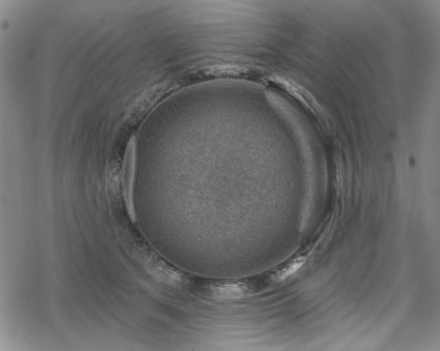 X0000068820513200605051214