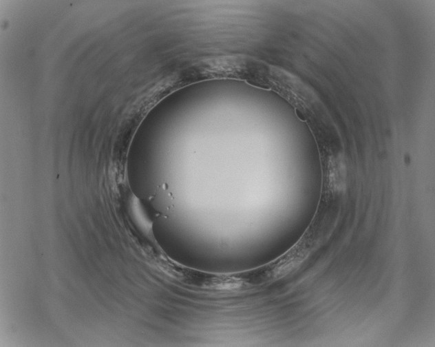 X0000068820514200605051214