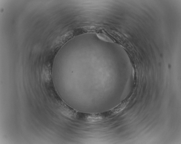 X0000068820515200605051214