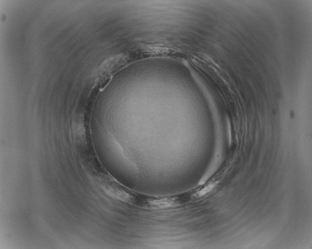 X0000068820516200605051214